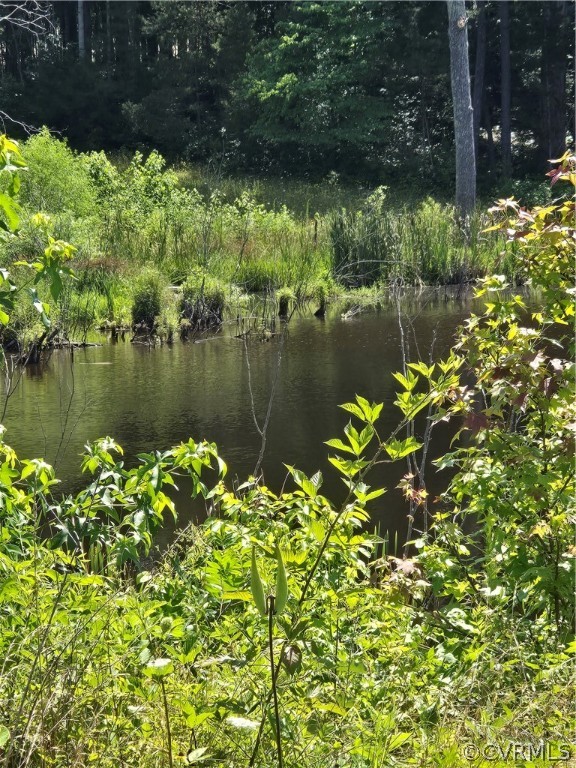 0 Marion's Trail Halifax, VA 24558 - Photo 33 of 43 View of water view
