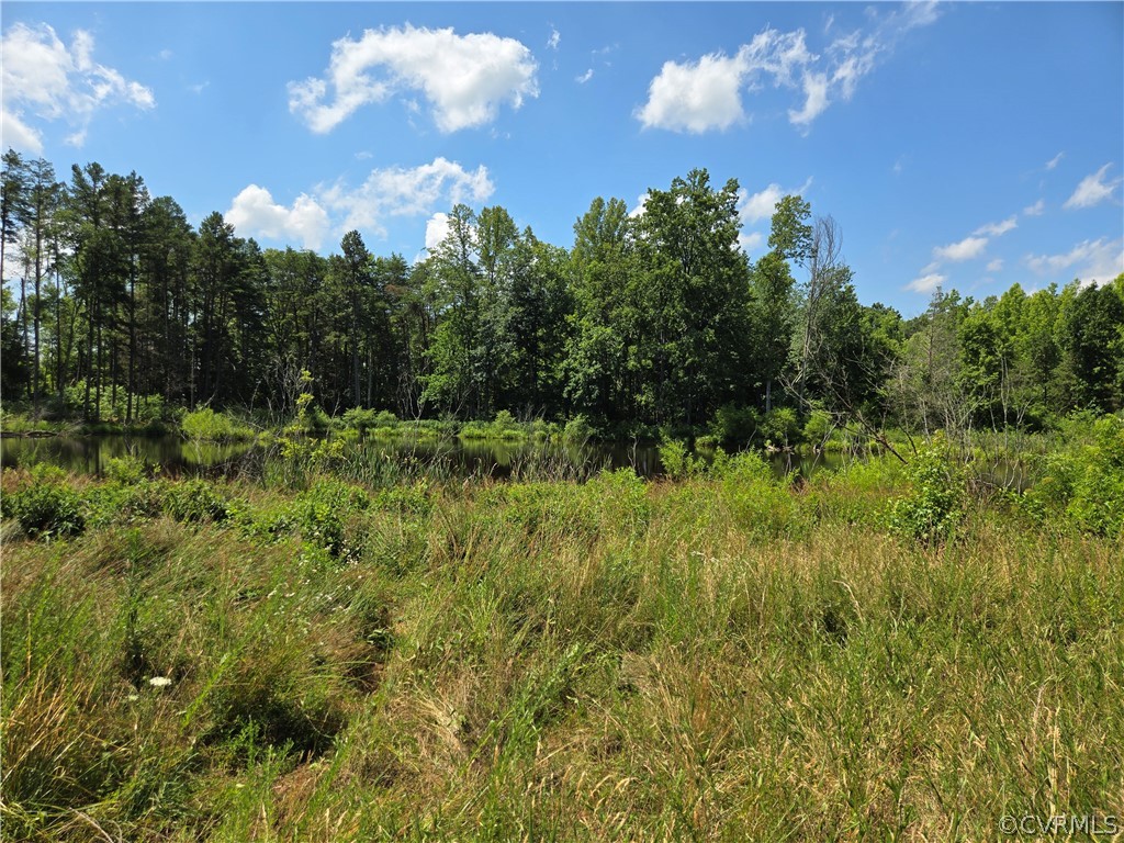 0 Marion's Trail Halifax, VA 24558 - Photo 34 of 43 View of mother earth's splendor with a water view