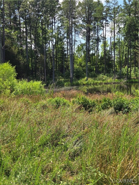 0 Marion's Trail Halifax, VA 24558 - Photo 35 of 43 View of nature featuring a water view