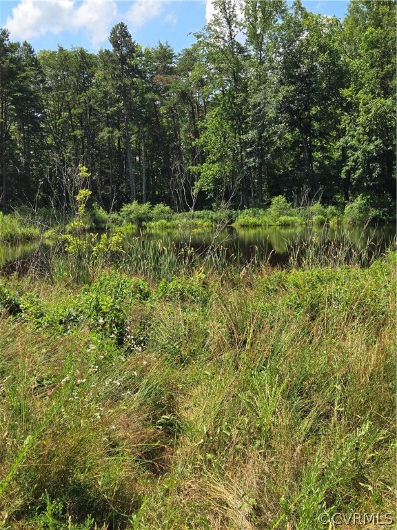 0 Marion's Trail Halifax, VA 24558 - Photo 36 of 43 View of local wilderness featuring a water view