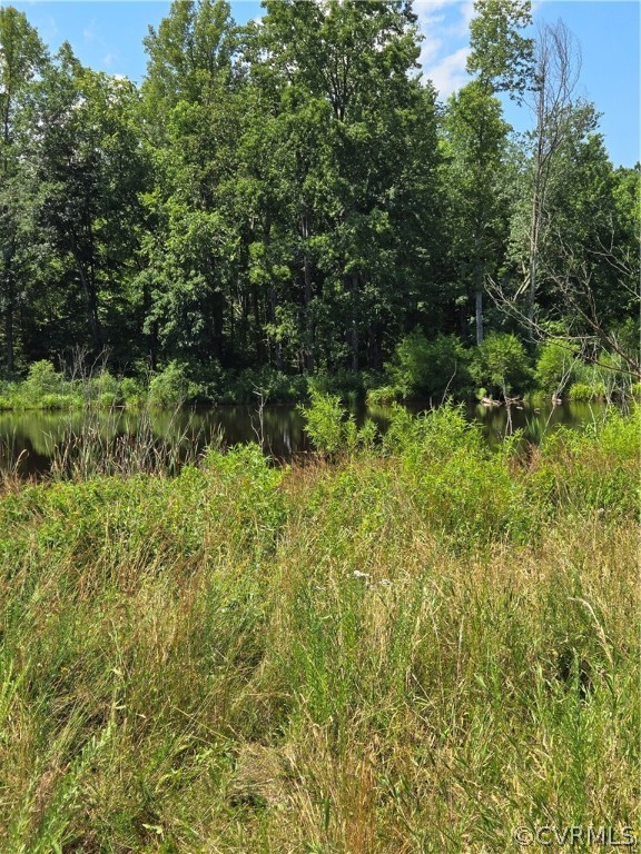 0 Marion's Trail Halifax, VA 24558 - Photo 37 of 43 View of mother earth's splendor featuring a water