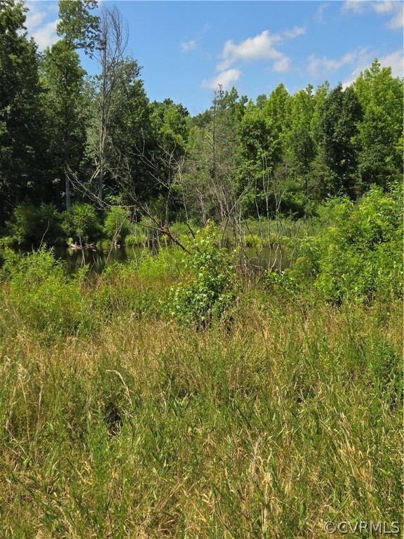 0 Marion's Trail Halifax, VA 24558 - Photo 38 of 43 View of mother earth's splendor