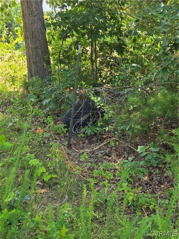 0 Marion's Trail Halifax, VA 24558 - Photo 39 of 43 View of mother earth's splendor
