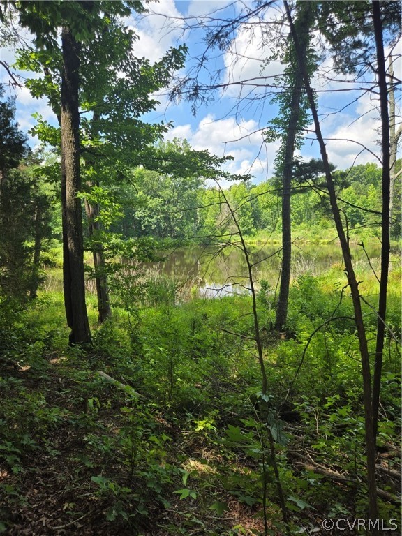 0 Marion's Trail Halifax, VA 24558 - Photo 40 of 43 View of nature