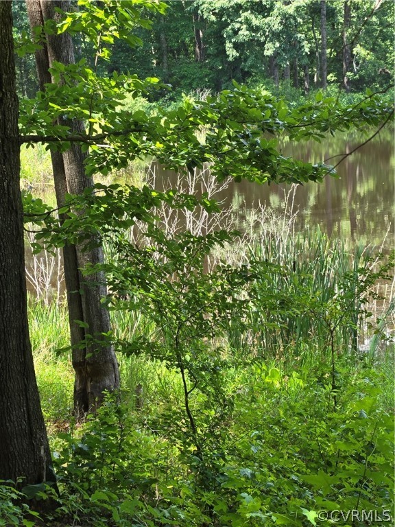 0 Marion's Trail Halifax, VA 24558 - Photo 41 of 43 View of local wilderness with a water view