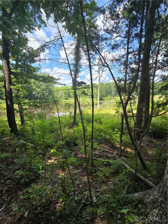 0 Marion's Trail Halifax, VA 24558 - Photo 42 of 43 View of local wilderness