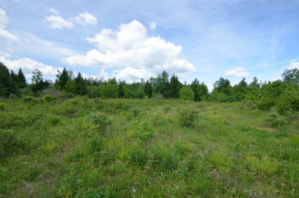 0 Moose Brook Road Houlton, ME 04730 - Photo 15 of 18 Maine Land for Sale in Ludlow Maine