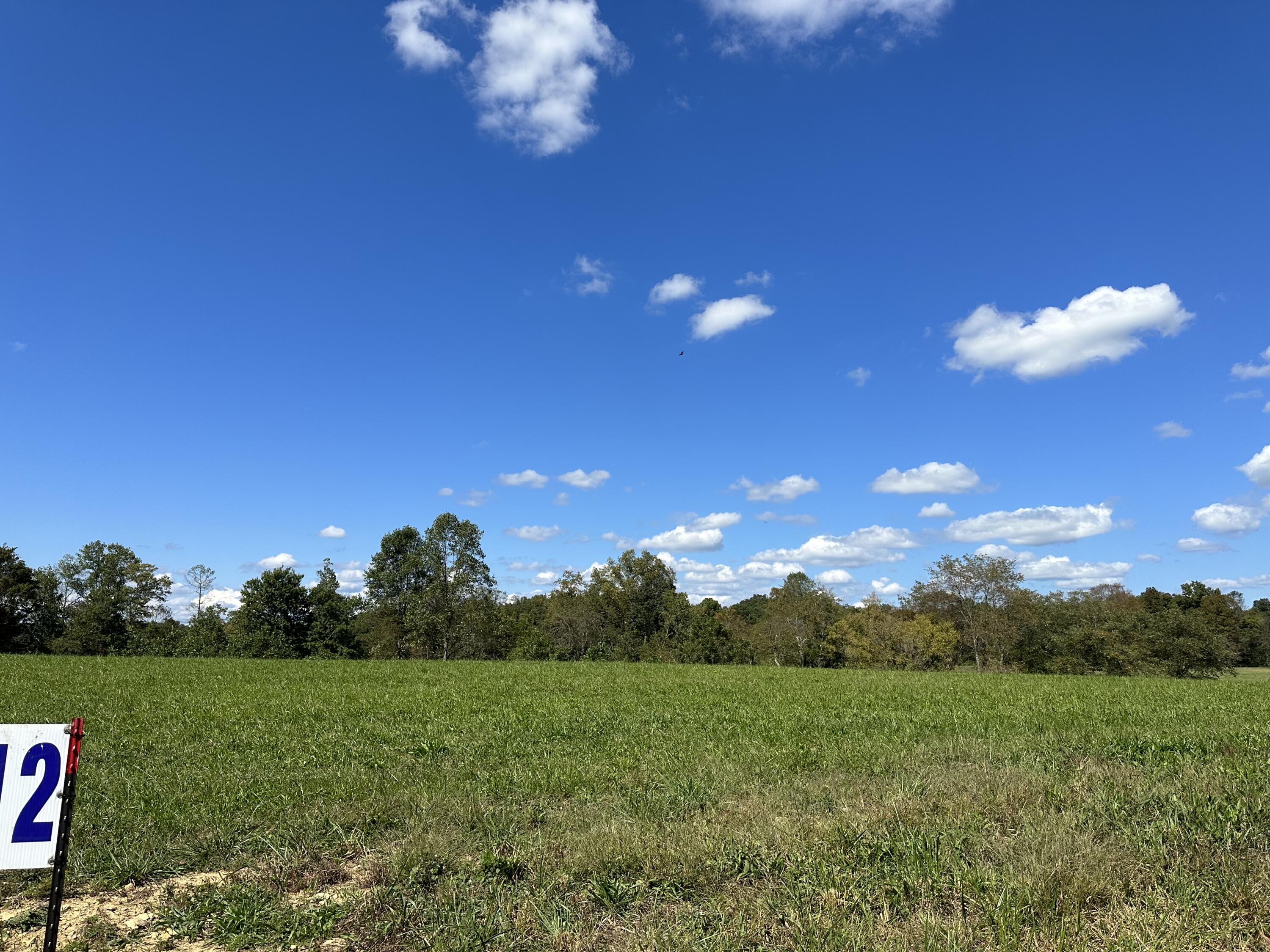 Lot 12 Baldwin Road McKee, KY 40447 - Photo 8 of 13 IMG_8725