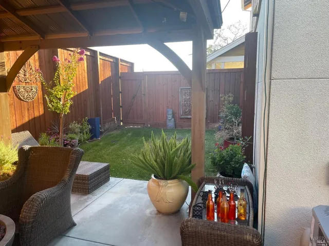 a view of a backyard with plants and a potted plant