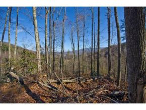 656 Stockton Road Flag Pond, TN 37657 - Photo 20 of 23 Photo 21