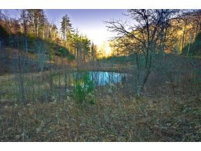 656 Stockton Road Flag Pond, TN 37657 - Photo 3 of 23 Photo 3