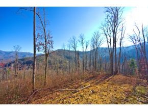 656 Stockton Road Flag Pond, TN 37657 - Photo 5 of 23 Photo 5