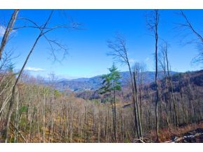 656 Stockton Road Flag Pond, TN 37657 - Photo 7 of 23 Photo 7