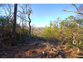 656 Stockton Road Flag Pond, TN 37657 - Photo 8 of 23 Photo 8