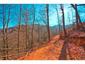 656 Stockton Road Flag Pond, TN 37657 - Photo 10 of 23 Photo 11