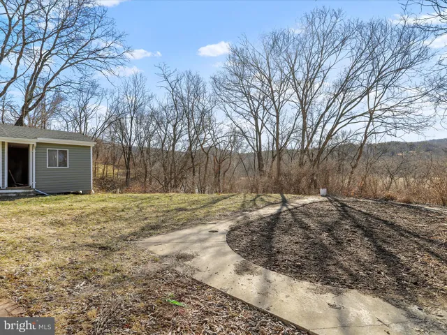 a view of a backyard with large trees
