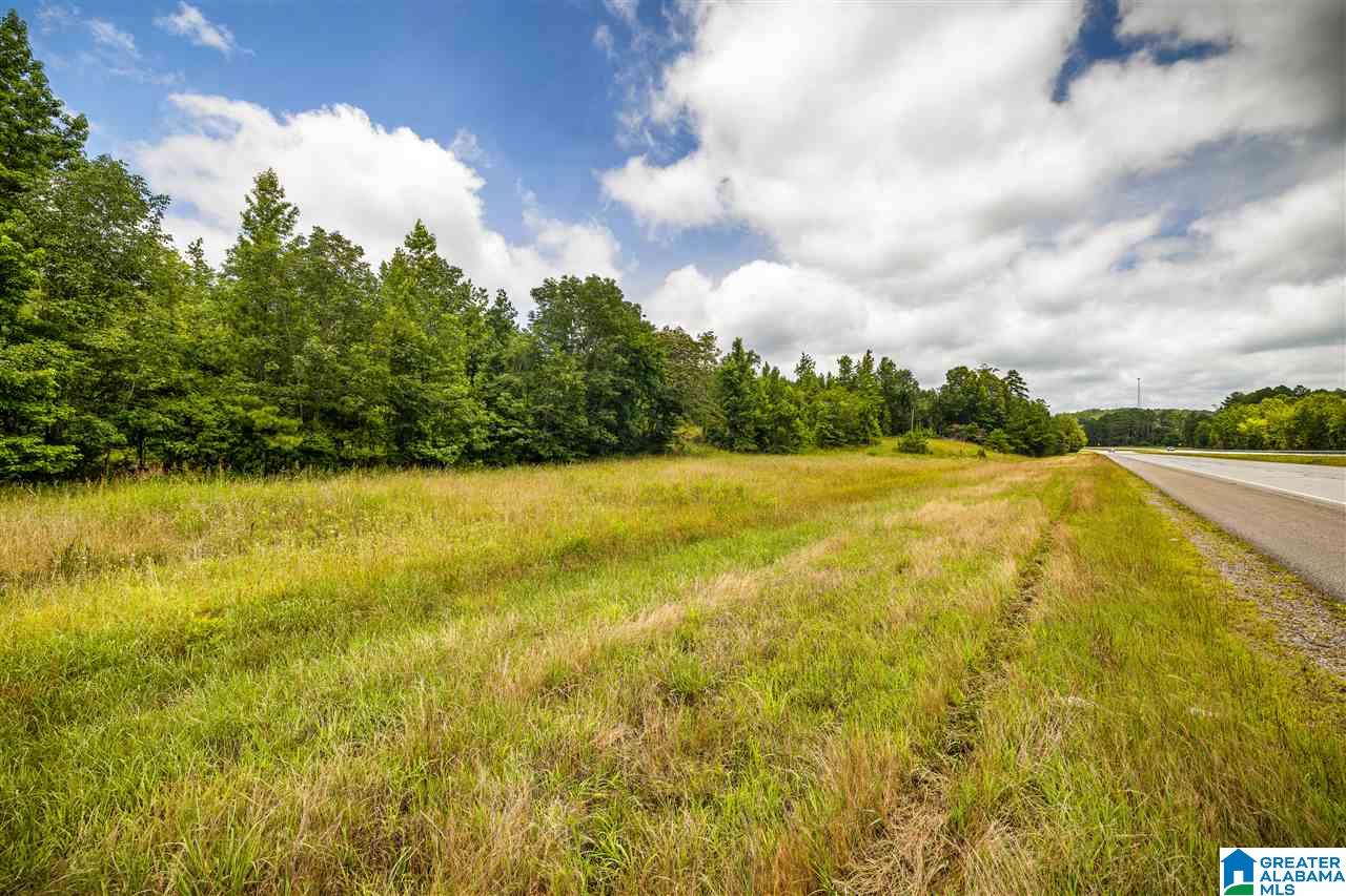 0 Highway 75, Unit 5032 Oneonta, AL 35121 - Photo 1 of 18
