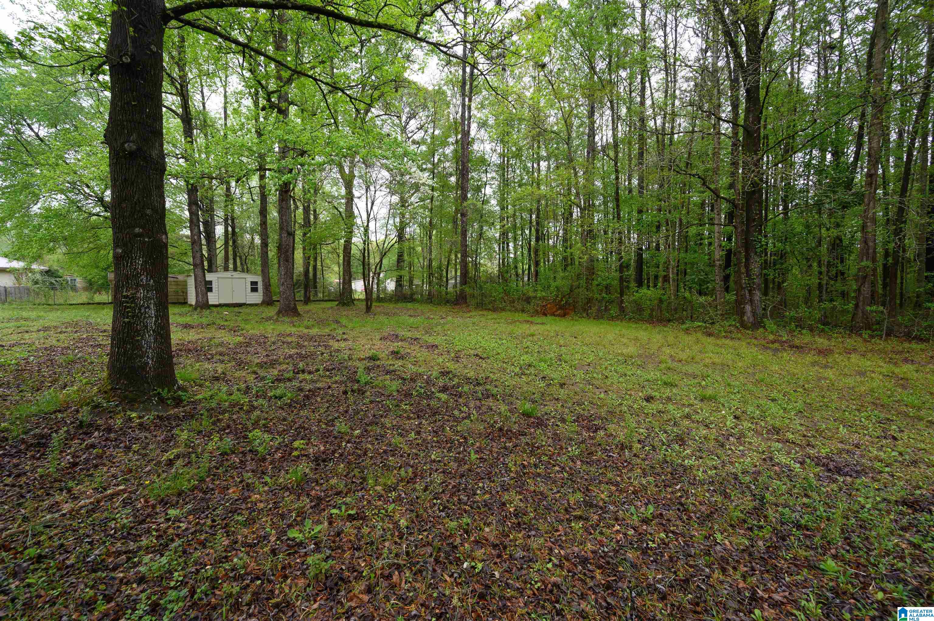881 Southview Road Sylacauga, AL 35150 - Photo 37 of 39