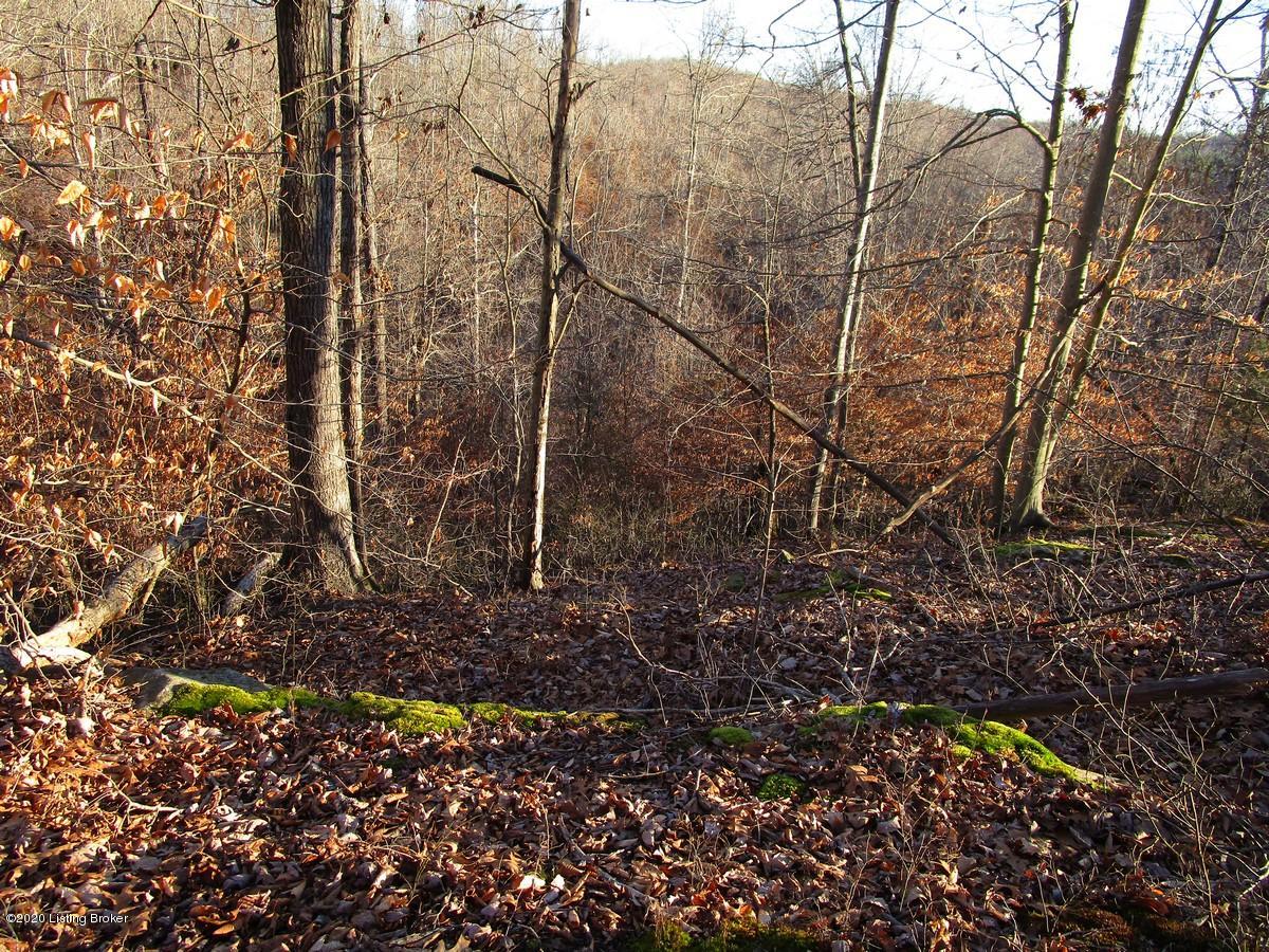 0 Jones Road Caneyville, KY 42721 - Photo 14 of 34 Image000140 Jones Rd