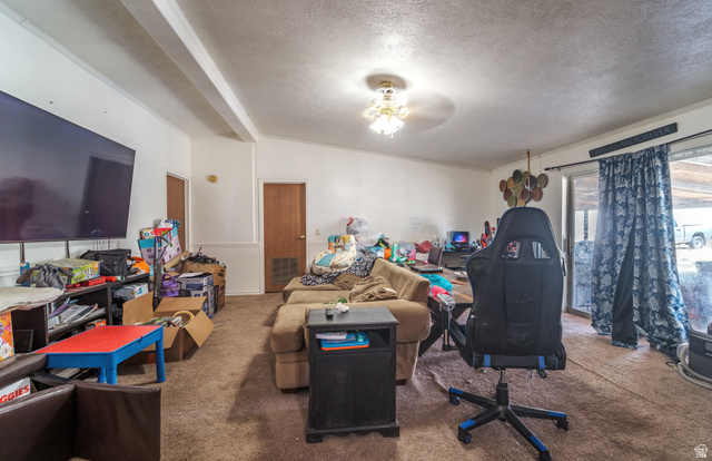 445 South Main Street Fayette, UT 84630 - Photo 35 of 45 Playroom with carpet