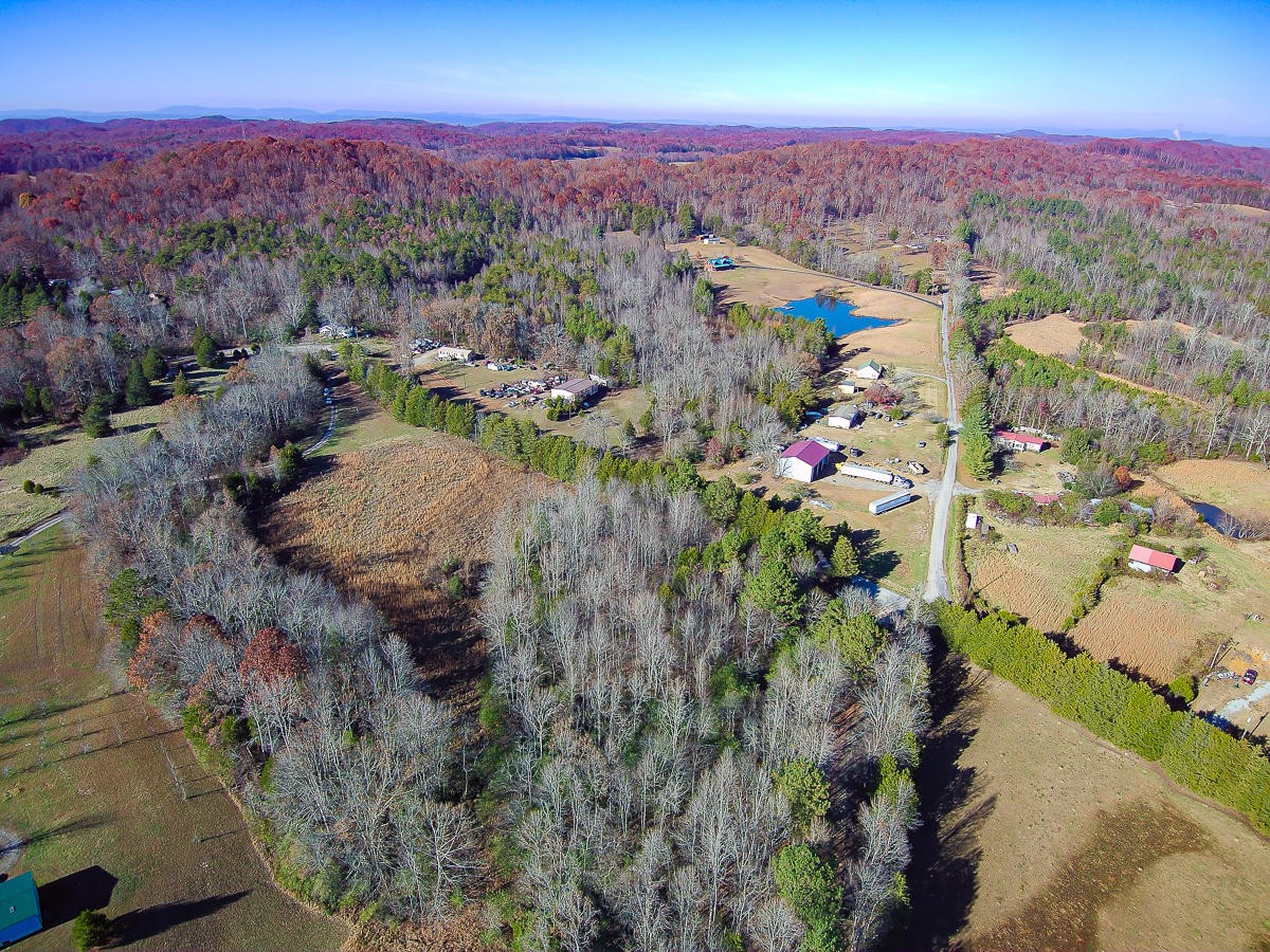 16003 Blue Springs Road Philadelphia, TN 37846 - Photo 4 of 10 Gallery Image 4
