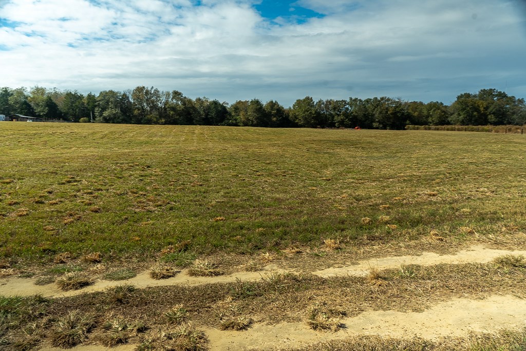 0 J B J B Jackson Road Webb, AL 36376 - Photo 23 of 38