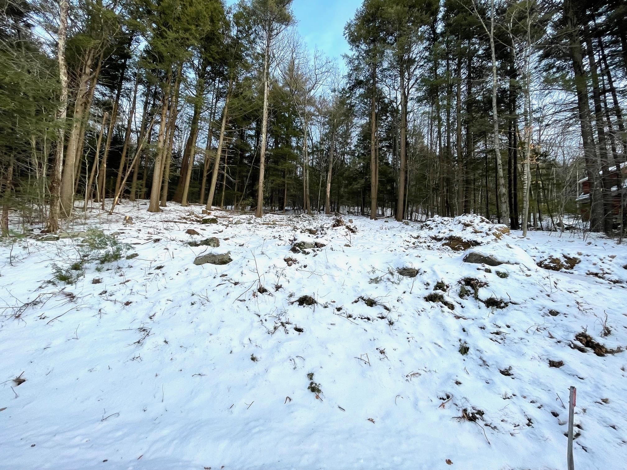 76 Pinnacle Park Road, Unit U20/1 Meredith, NH 03253 - Photo 2 of 4 Gallery Image 2