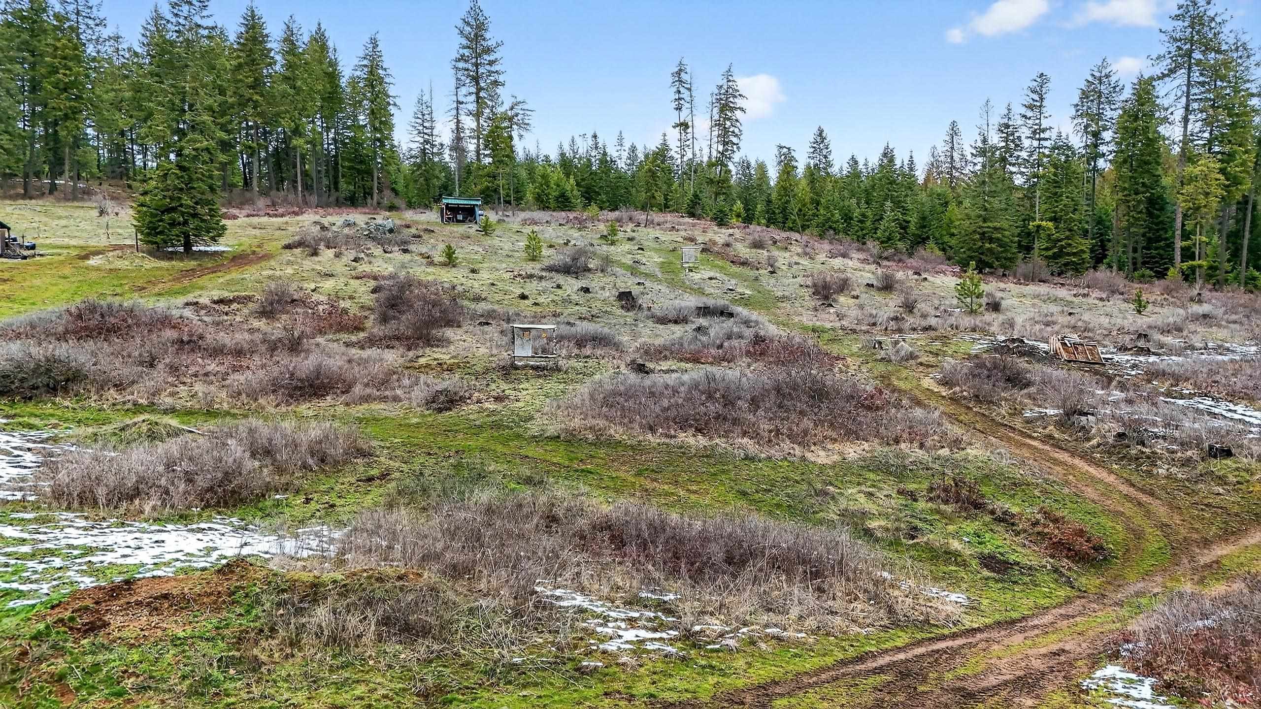 1371 North Willms Road Elk, WA 99009 - Photo 36 of 46