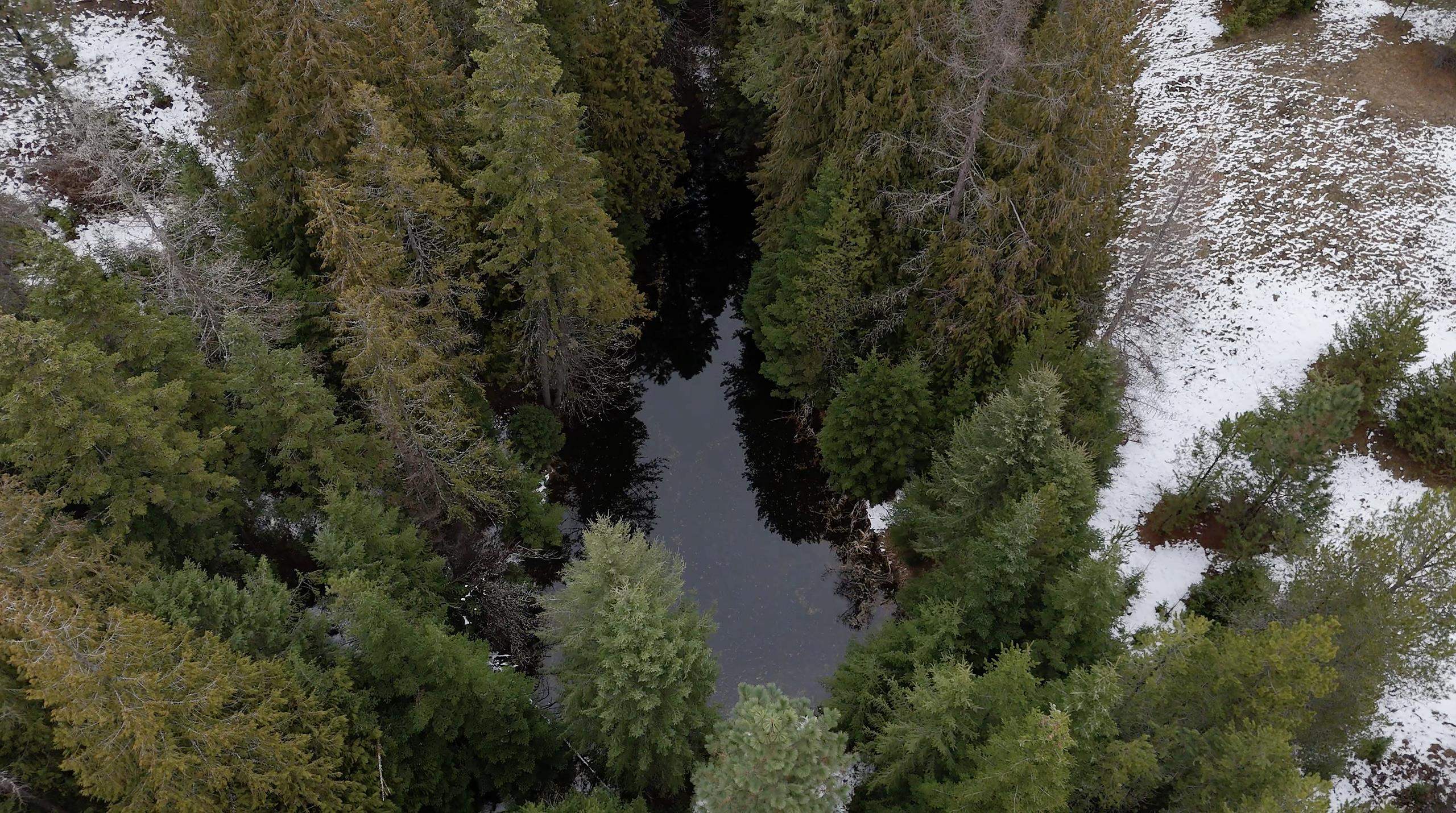 1371 North Willms Road Elk, WA 99009 - Photo 37 of 46