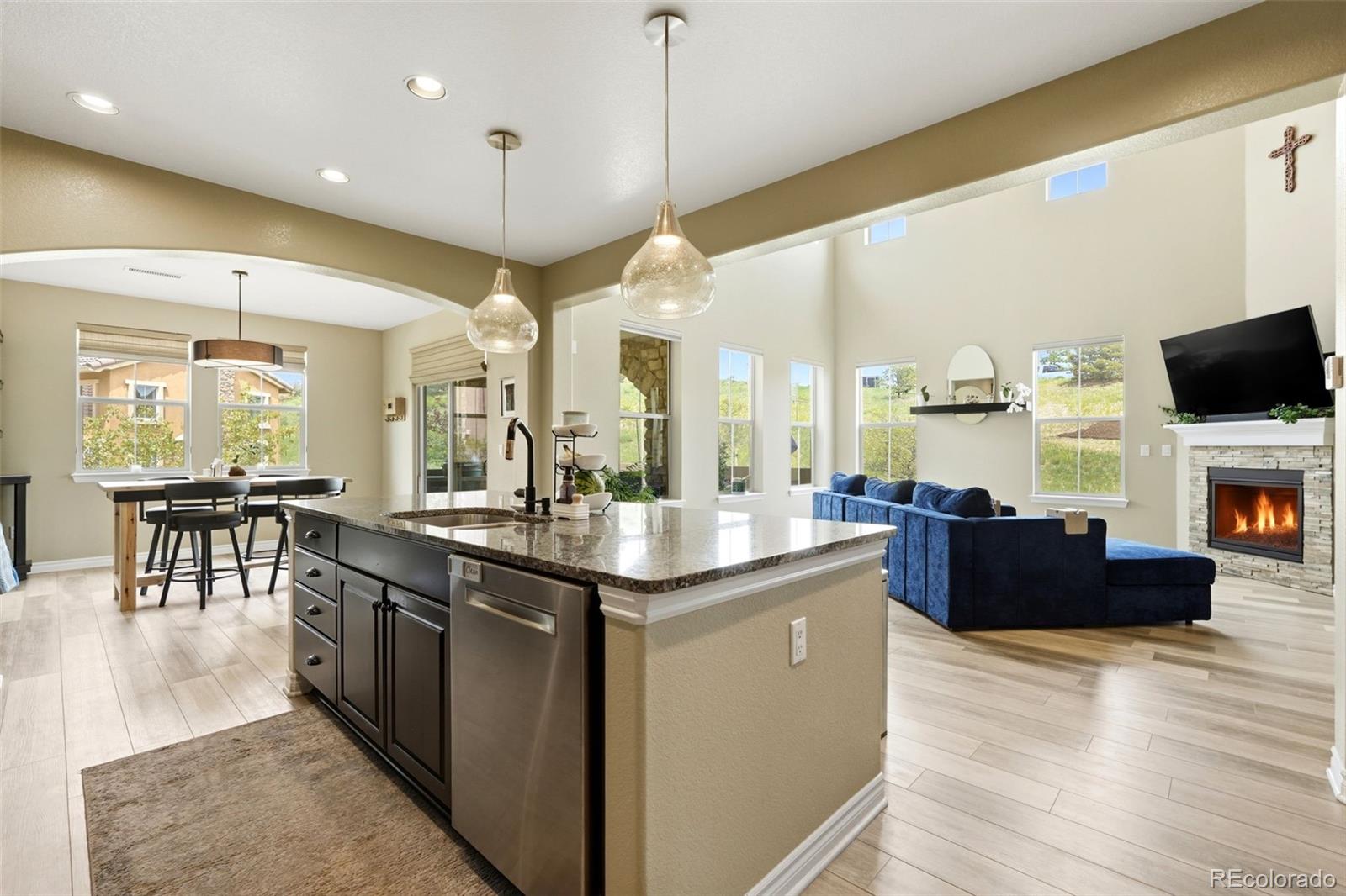 9274 Viaggio Way Highlands Ranch, CO 80126 - Photo 5 of 48