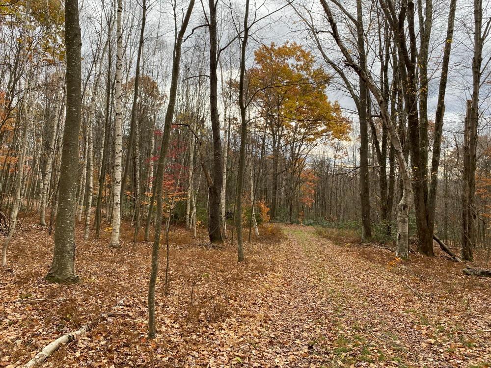 386 Catskirondack Road Hancock, NY 13783 - Photo 1 of 1 Gallery Image 1