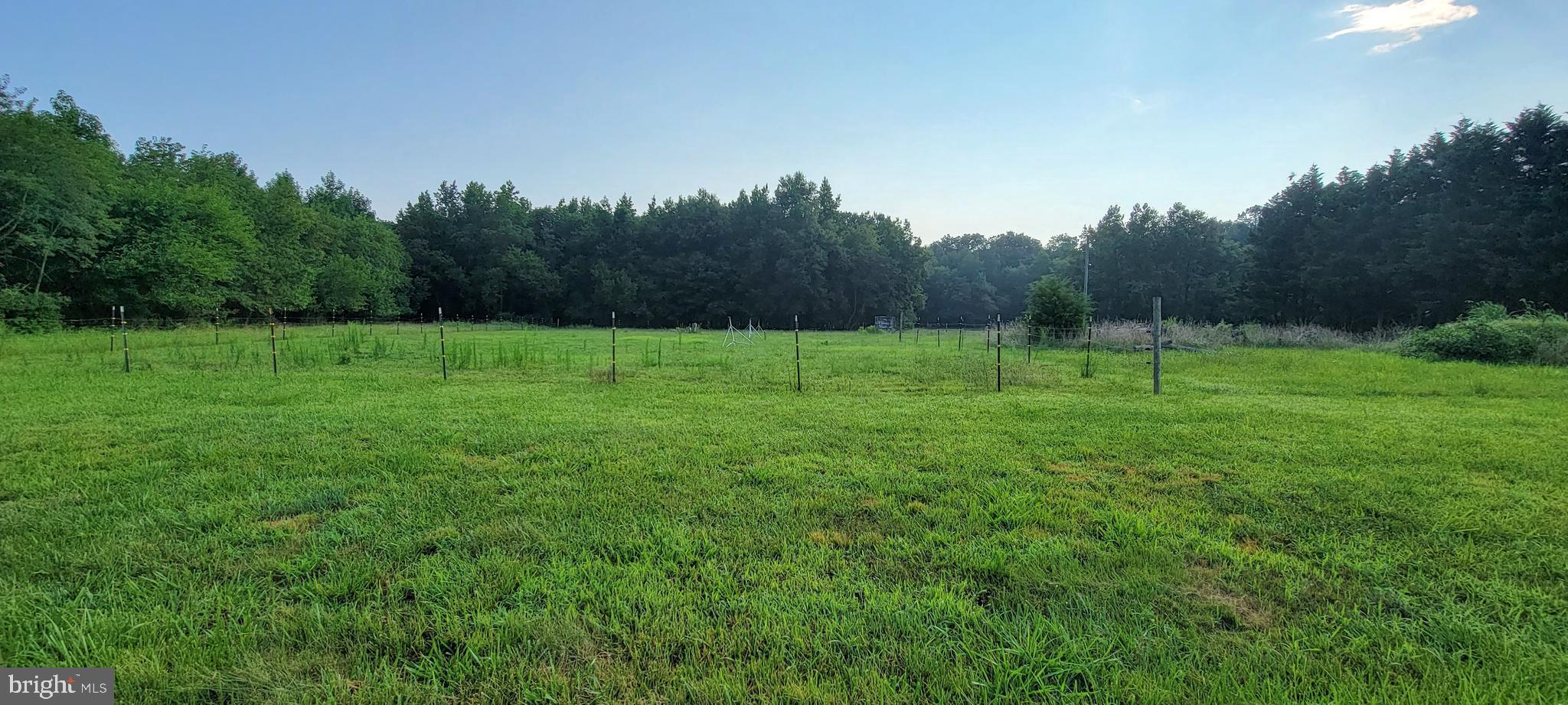 20067 Bucks Branch Road Bridgeville, DE 19933 - Photo 1 of 17 Gallery Image 1