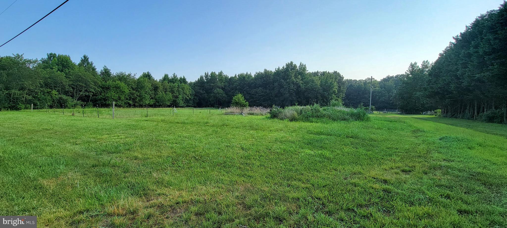 20067 Bucks Branch Road Bridgeville, DE 19933 - Photo 2 of 17 Gallery Image 2