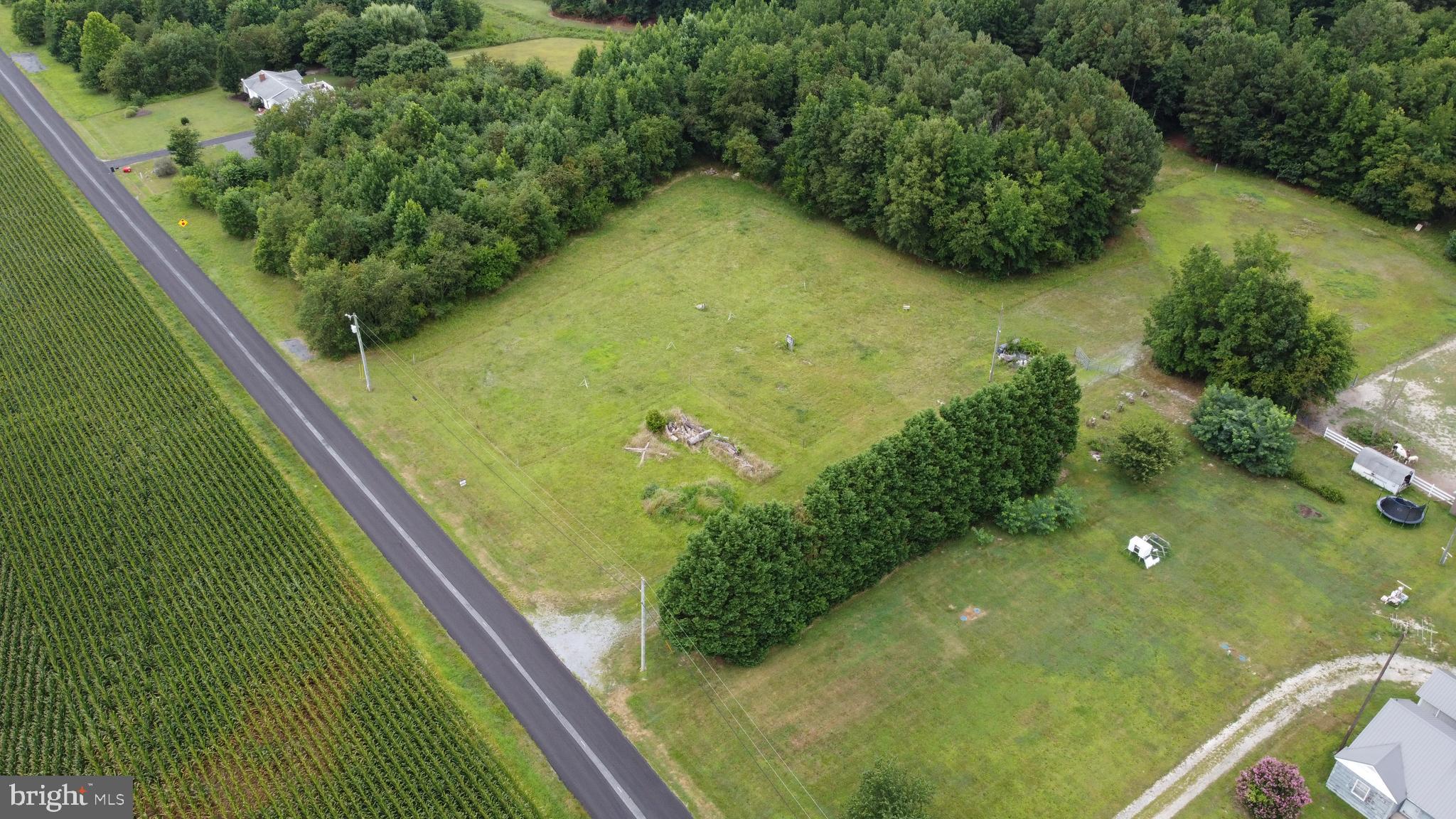 20067 Bucks Branch Road Bridgeville, DE 19933 - Photo 13 of 17 Gallery Image 13