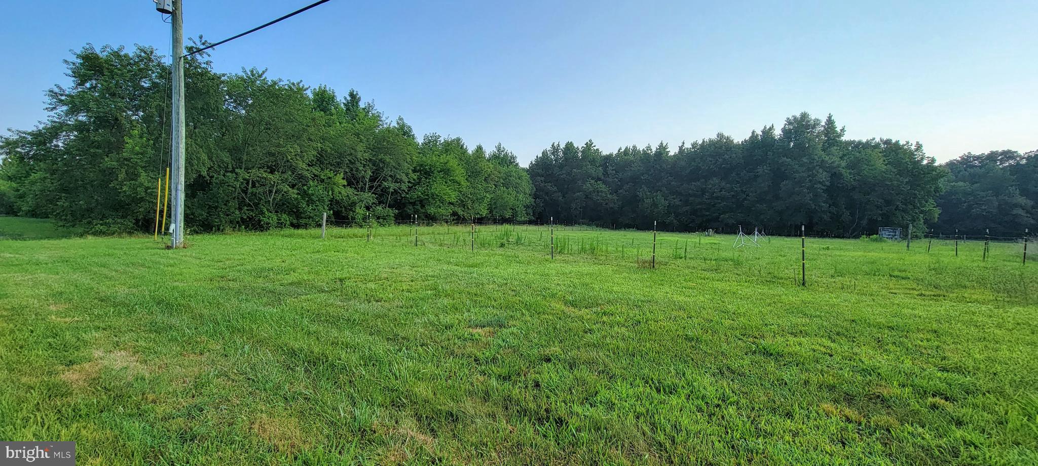20067 Bucks Branch Road Bridgeville, DE 19933 - Photo 3 of 17 Serene 4.66 Acre Lot in the country!