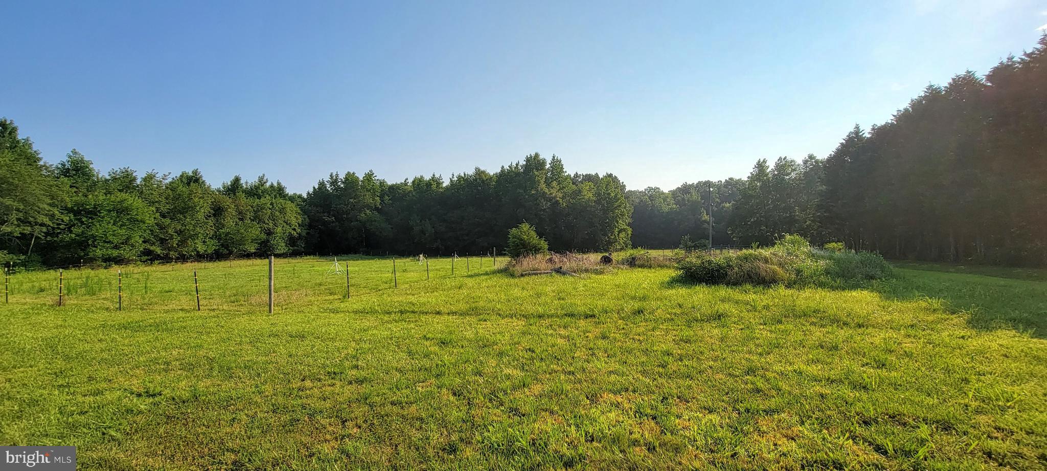 20067 Bucks Branch Road Bridgeville, DE 19933 - Photo 6 of 17 Gallery Image 6