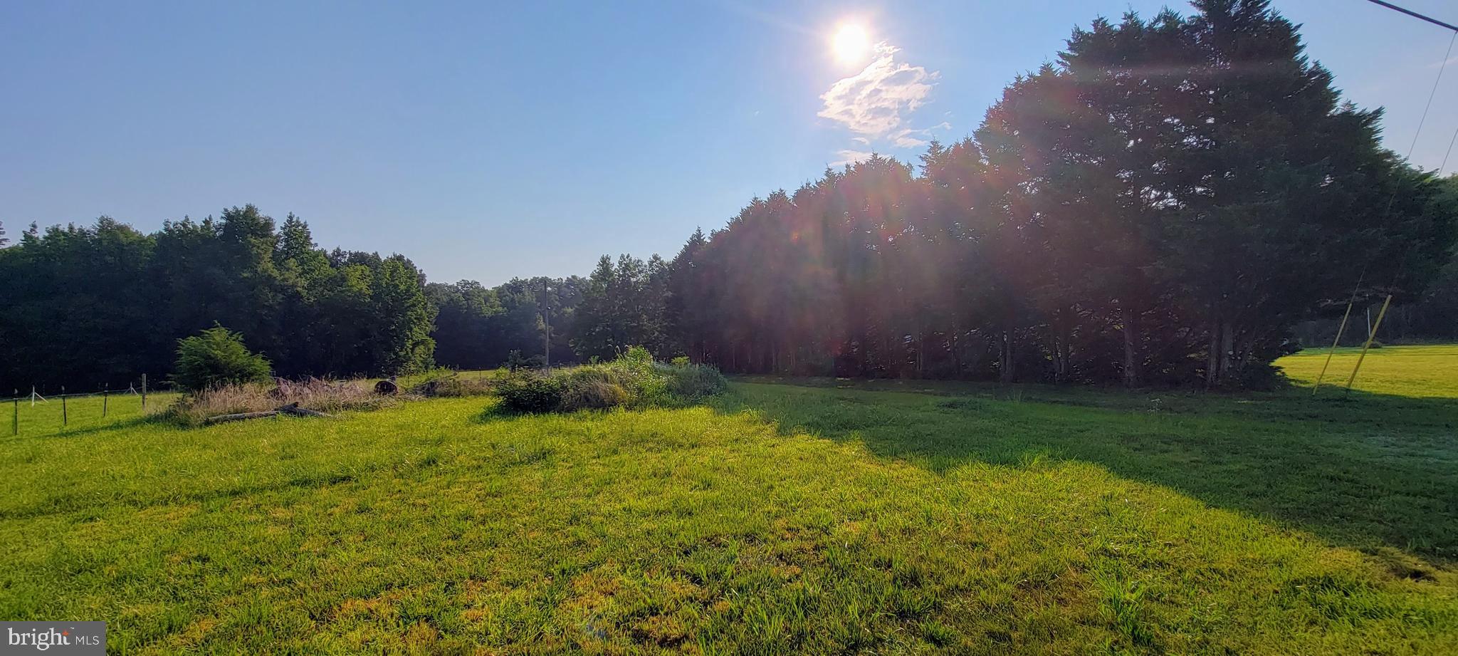 20067 Bucks Branch Road Bridgeville, DE 19933 - Photo 7 of 17 Gallery Image 7
