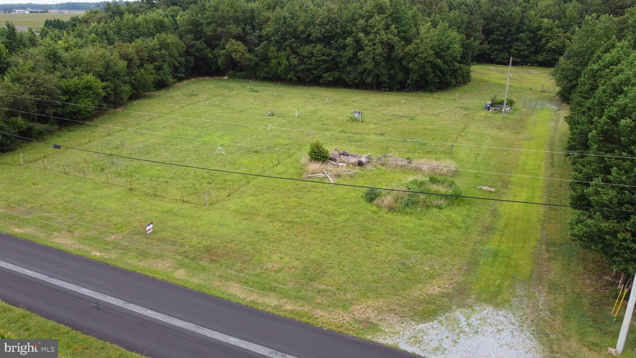 20067 Bucks Branch Road Bridgeville, DE 19933 - Photo 9 of 17 Gallery Image 9