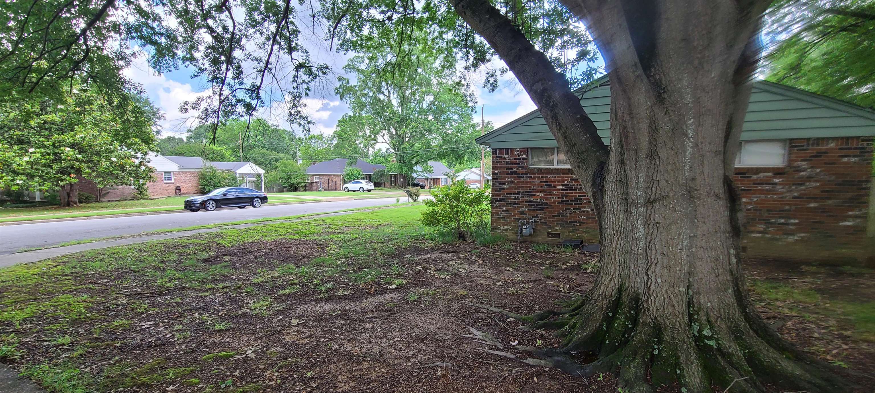 5569 Milam Road Memphis, TN 38120 - Photo 36 of 37 a view of a yard with plants and trees
