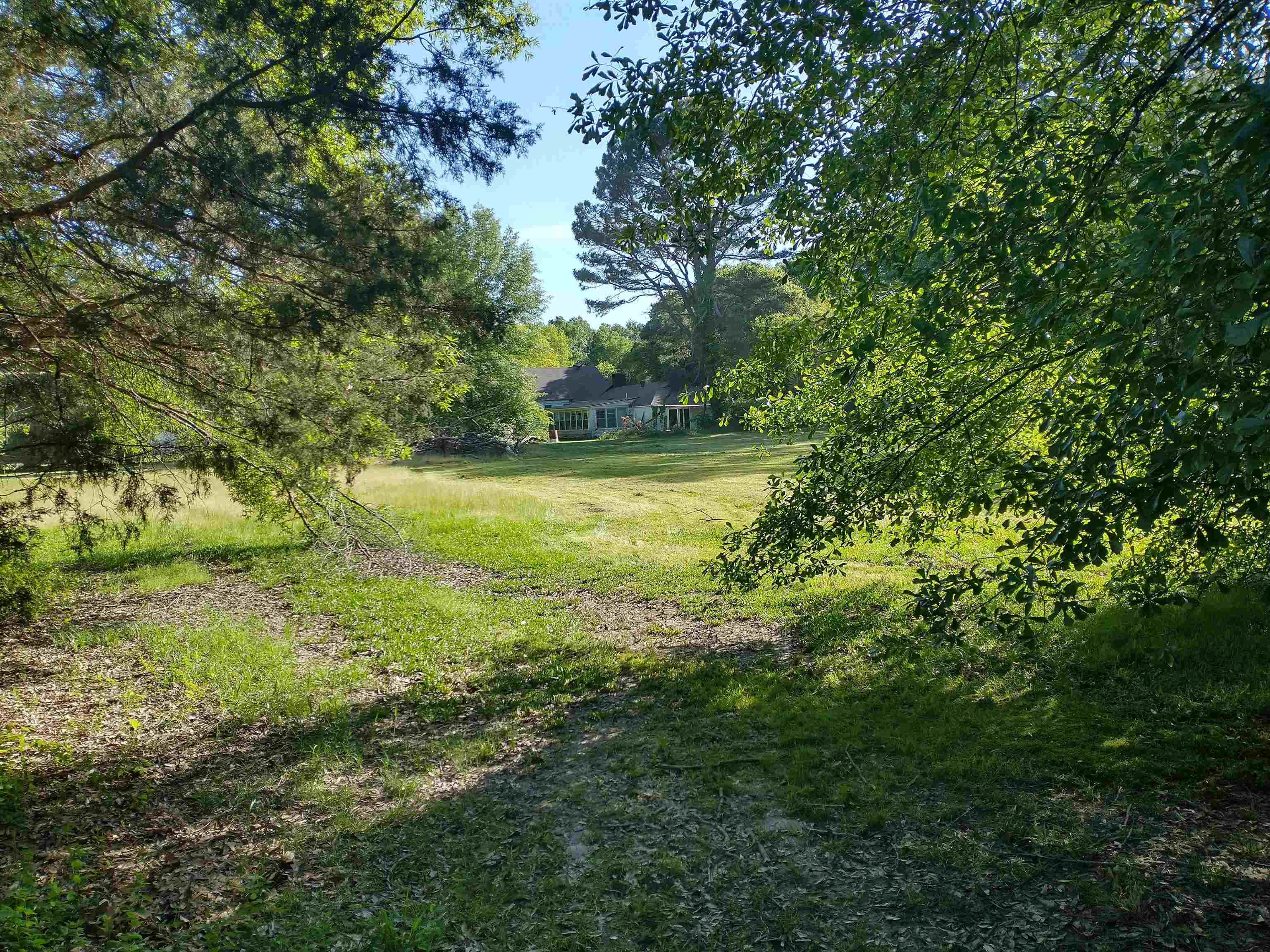 5580 Crestview Road Memphis, TN 38134 - Photo 3 of 15 a view of yard with green space