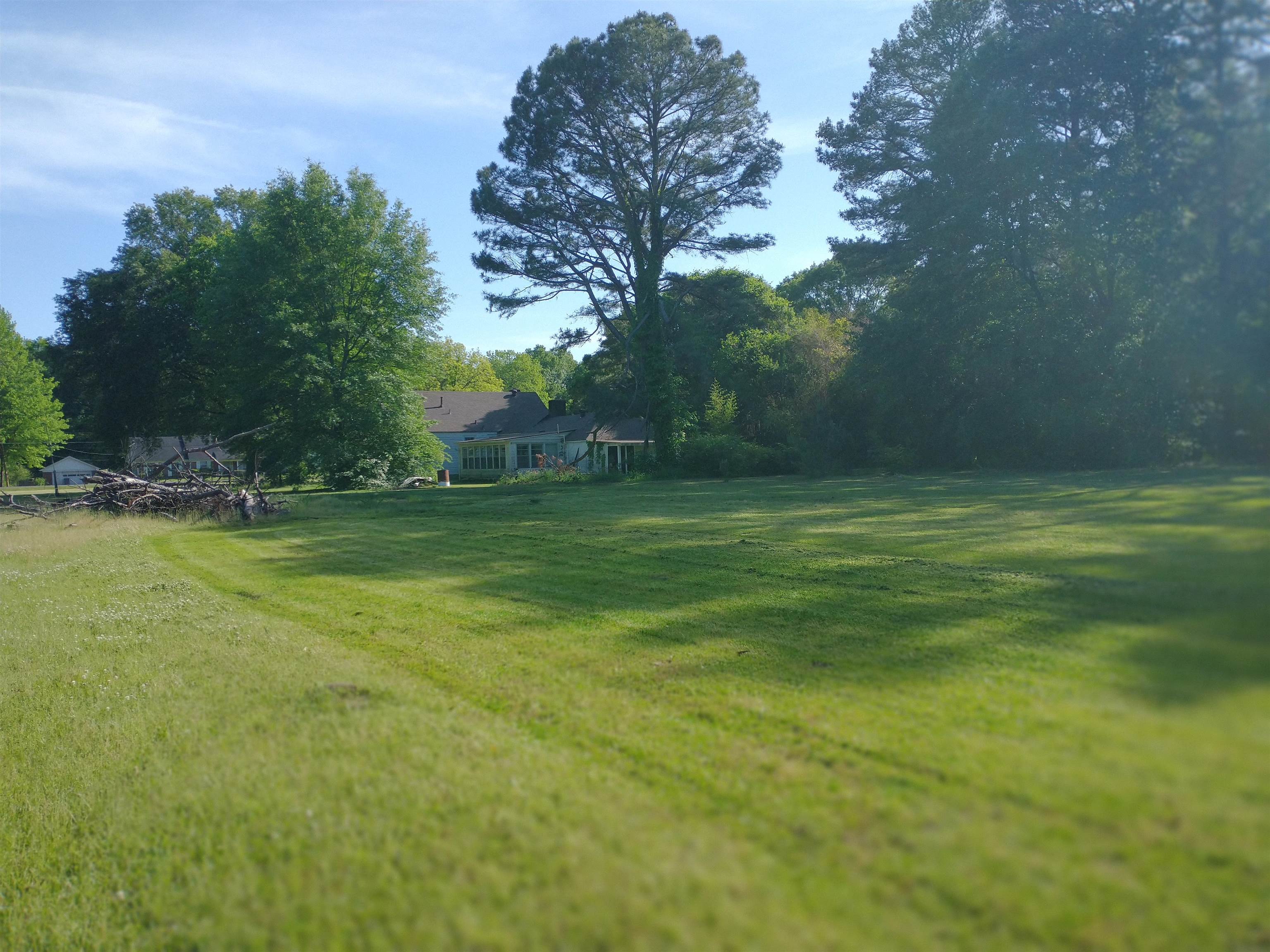 5580 Crestview Road Memphis, TN 38134 - Photo 5 of 15 a view of a field with trees in the background