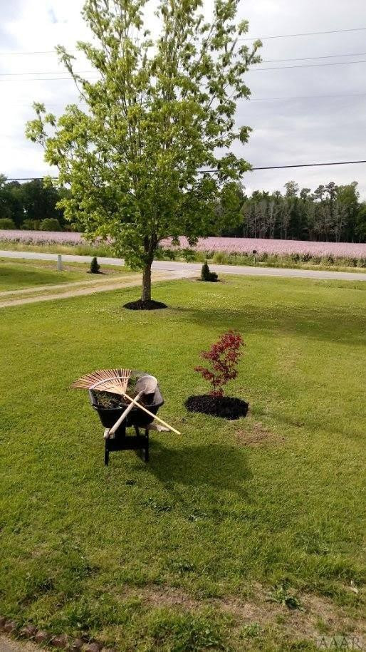 512 Yeopim Road Edenton, NC 27932 - Photo 3 of 7