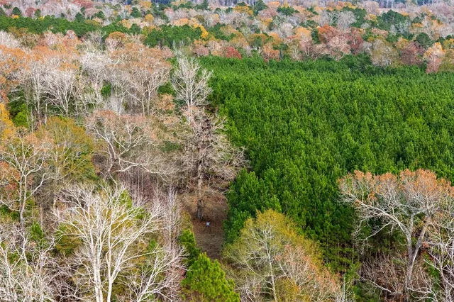 $1,590,000 | 0 County Road 511, Kennard, TX 75847