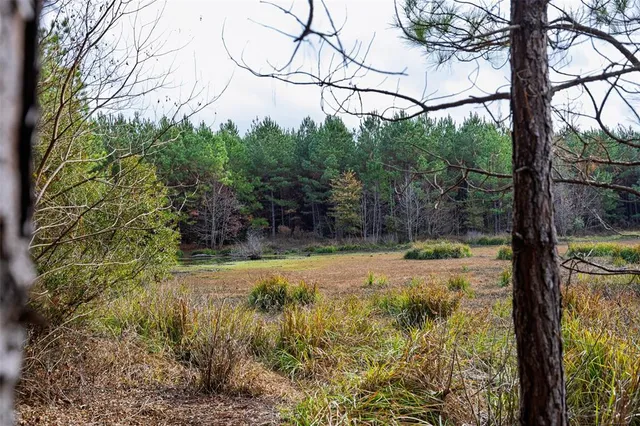 $1,590,000 | 0 County Road 511, Kennard, TX 75847