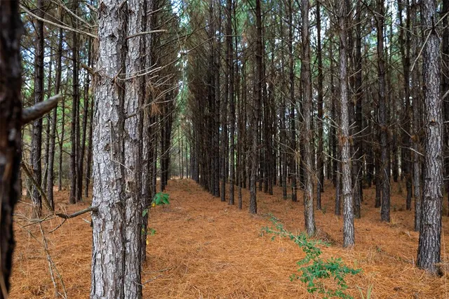 $1,590,000 | 0 County Road 511, Kennard, TX 75847