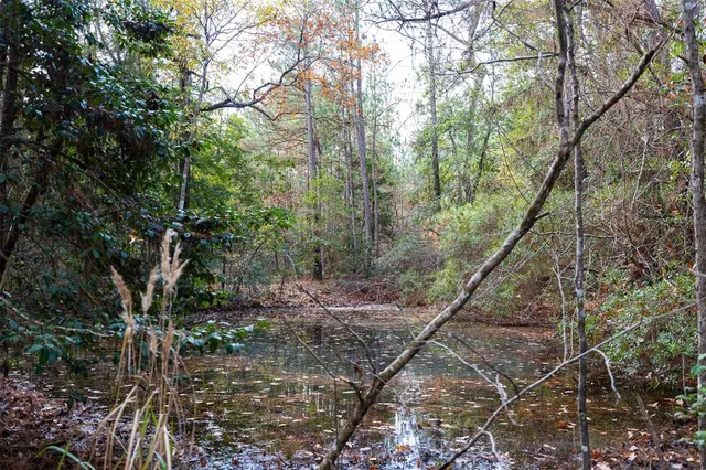 $1,590,000 | 0 County Road 511, Kennard, TX 75847