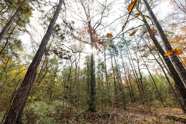 $1,590,000 | 0 County Road 511, Kennard, TX 75847