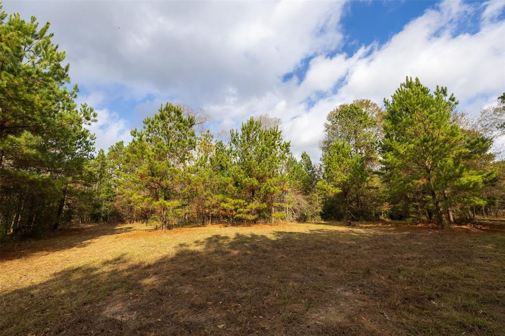 0 County Road 511 Kennard, TX 75847 - Photo 23 of 40 a view of outdoor space and yard