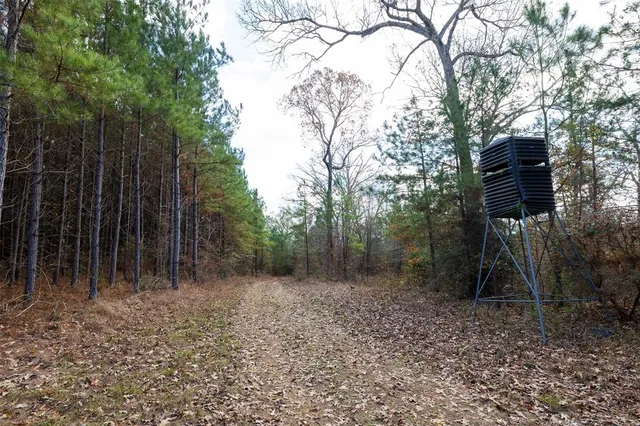 $1,590,000 | 0 County Road 511, Kennard, TX 75847