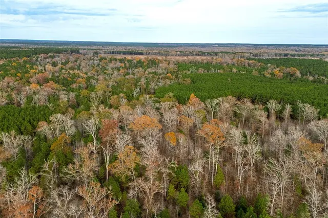 $1,590,000 | 0 County Road 511, Kennard, TX 75847